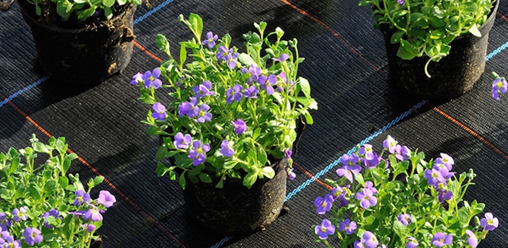 White woven groundcover in a greenhouse